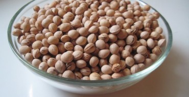 Noyaux de cerises pour faire pousser des photos