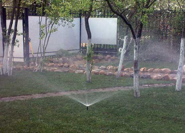 Arroser un pommier avec une photo d'arrosage