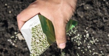 Alimentation printanière des pommiers photo