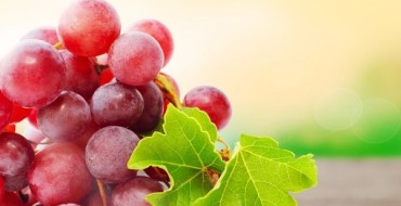 Photo de raisins Lydia