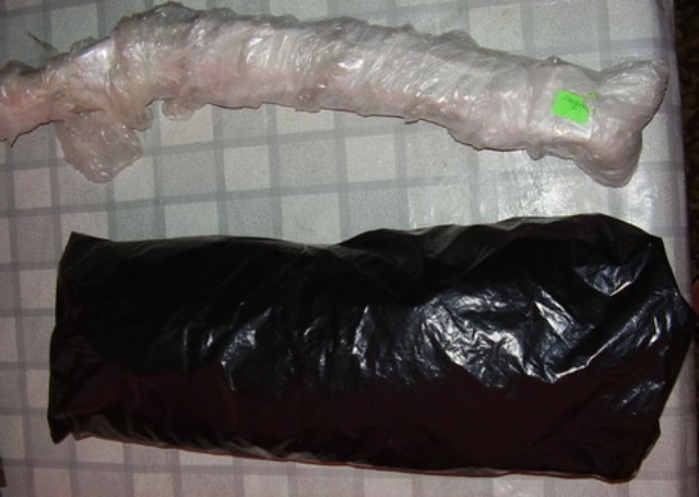 Boutures de raisins, préparées pour le stockage photo