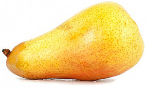 poire bosk fruit photo