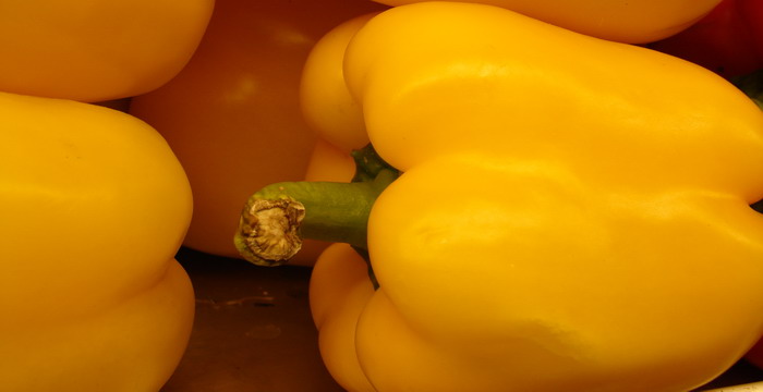 Vue précoce - Miracle orange