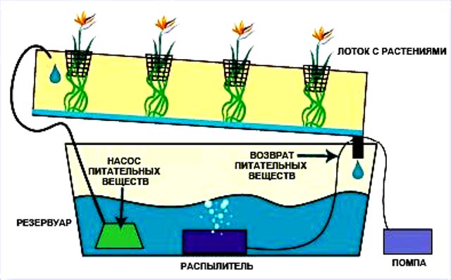 Diagramme du système de couche nutritive N.F.T.