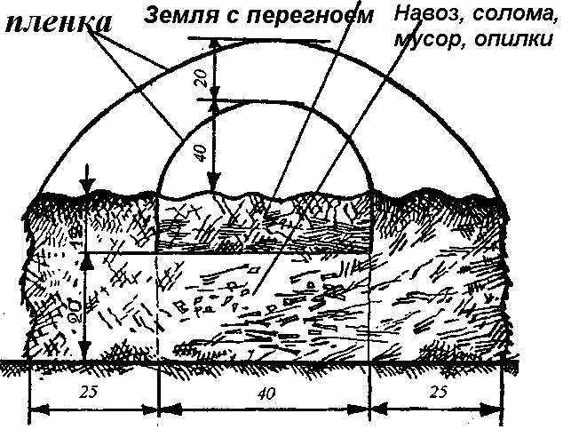 Schéma de la structure du lit de compost
