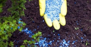 Aliment minéral pour fraises
