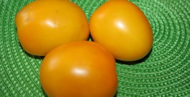 Tomate géante De Barao