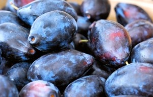 Prune bleue sur la photo