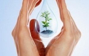 La photo montre un arbre à l'intérieur d'une goutte