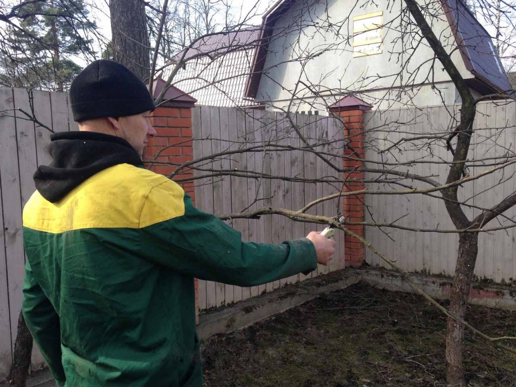 L'homme recadre sur la photo