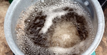 Méthodes pour faire du thé de compost aéré