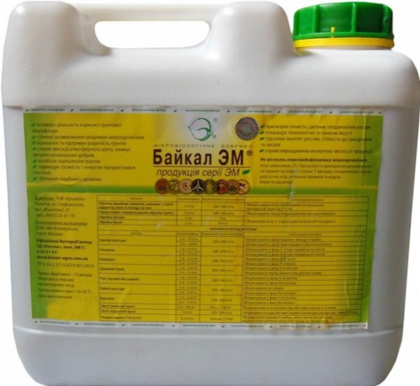 Baïkal pour accélérer le compost