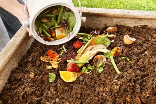 Ajout de déchets de légumes et de fruits dans la fosse à compost