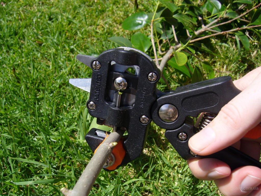 Comment manipuler les outils de jardinage de raisin