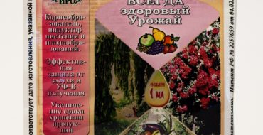 Le zircon est un excellent engrais végétal