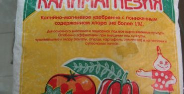 Qu'est-ce que le potassium magnésium et comment l'utiliser