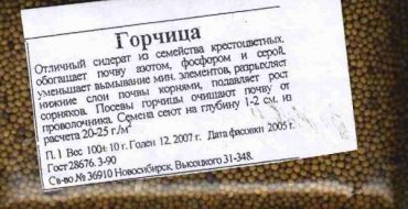 La moutarde est souvent utilisée comme sidérat