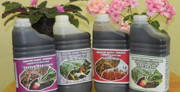 Comment utiliser correctement l'oxydant de la tourbe