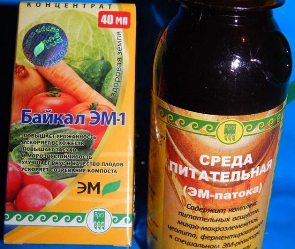 Les souches de bactéries les plus efficaces sont utilisées dans l'engrais