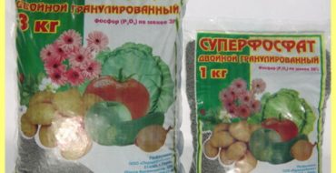 Propriétés du superphosphate double