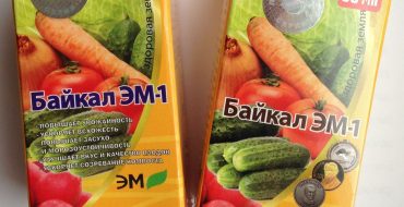 Instructions pour l'utilisation correcte de l'engrais Baïkal