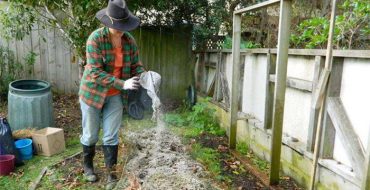Comment se nourrit avec de la cendre