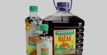 Engrais humiques liquides pour le sol