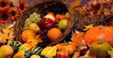 Calendrier lunaire des semis pour septembre 2016