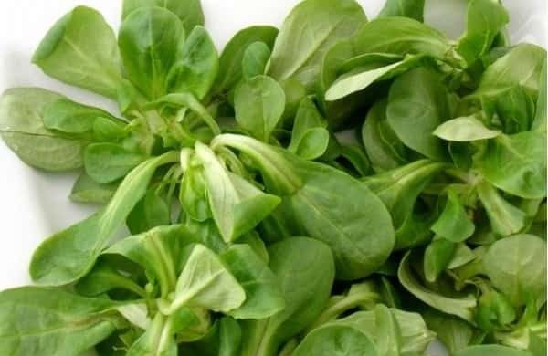 Le maïs se marie bien avec de nombreux aliments