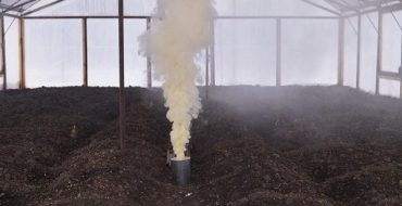 Préparation de la serre pour la plantation