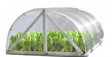 Caractéristiques et installation de la serre Shell