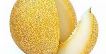 Melon Fruit Doux Ananas