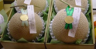 Yubari Royal Melon Vente