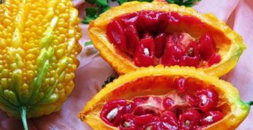 Fruit mûr de Momordica dans une coupe