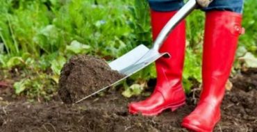 Creuser le sol pour l'hiver