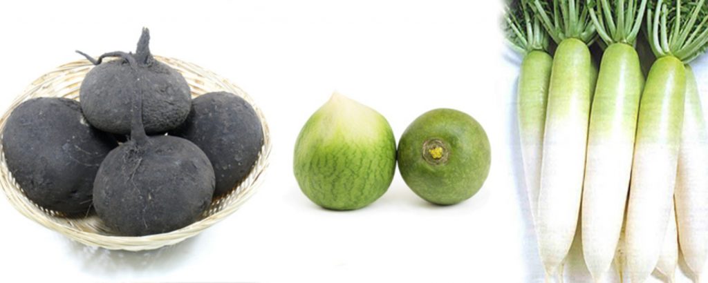 Variétés de radis mûrs sains