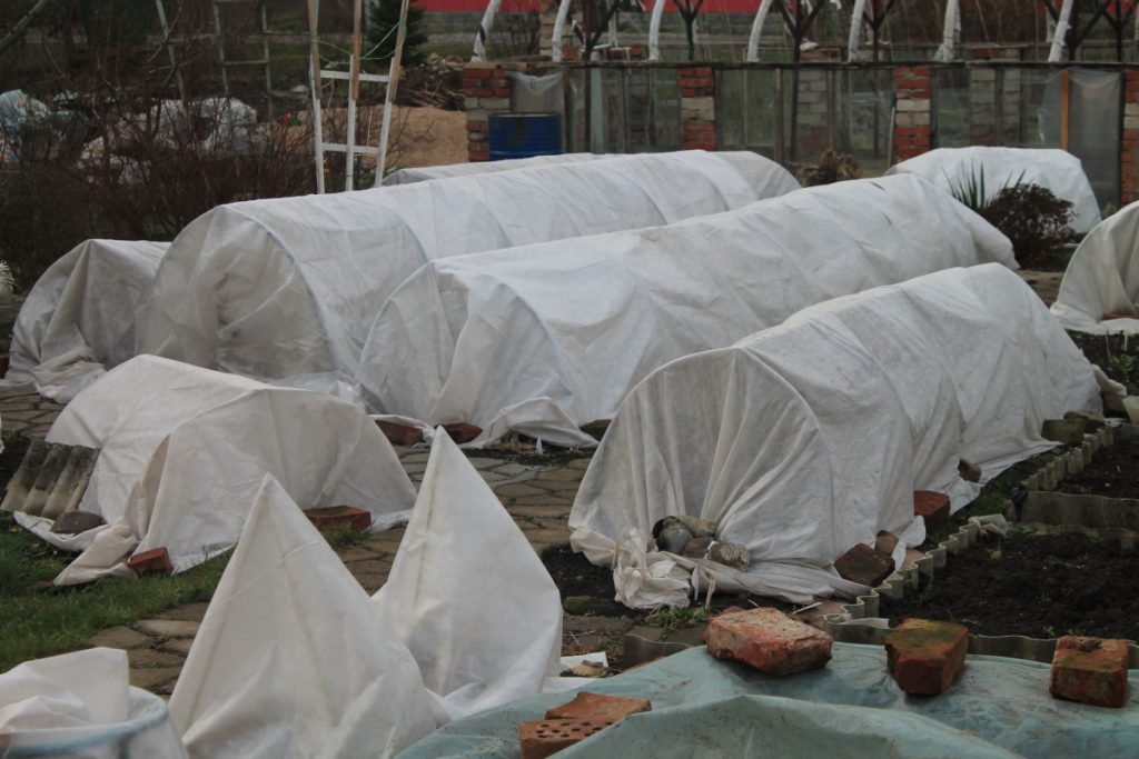 Abris des buissons début novembre