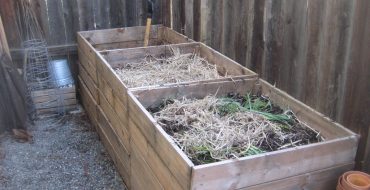 Compost d'herbe dans des boîtes