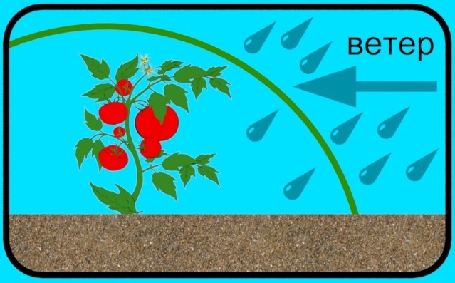Avantages d'un matériau de revêtement en agriculture : protection contre le vent