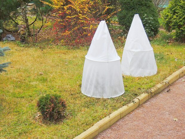 Cadre de protection pour abriter les jeunes abricots