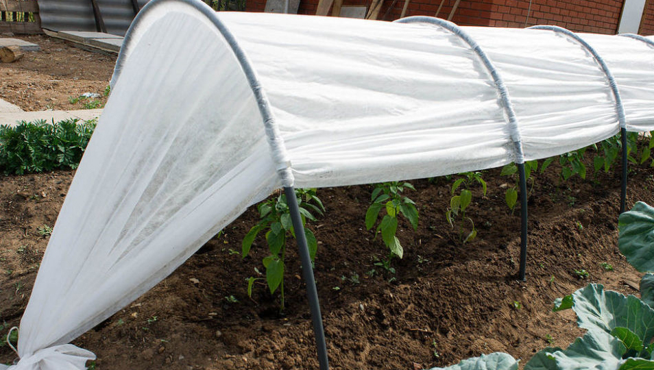 Structures de charpente utilisant un matériau de revêtement