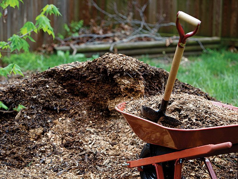 Pailler le sol avec de la sciure de bois
