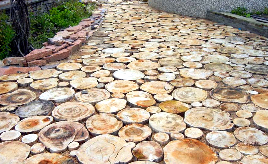 Un chemin pour marcher à partir d'une coupe de bois de sciage