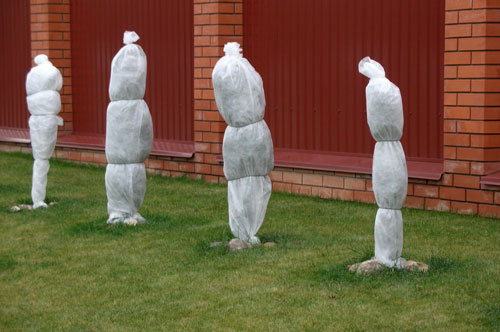 Abri d'arbustes d'ornement avec tissu non tissé